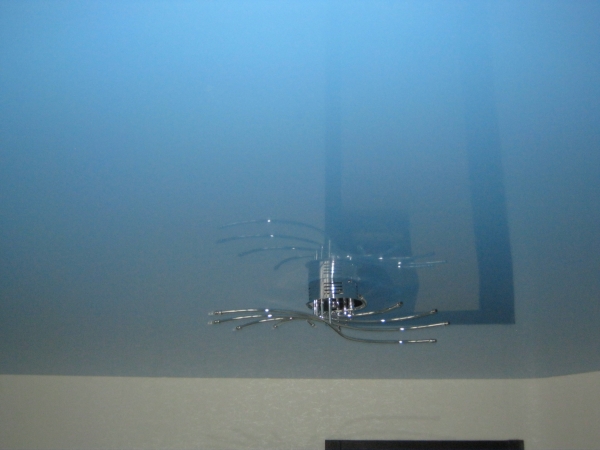 Фотографии цветных потолков